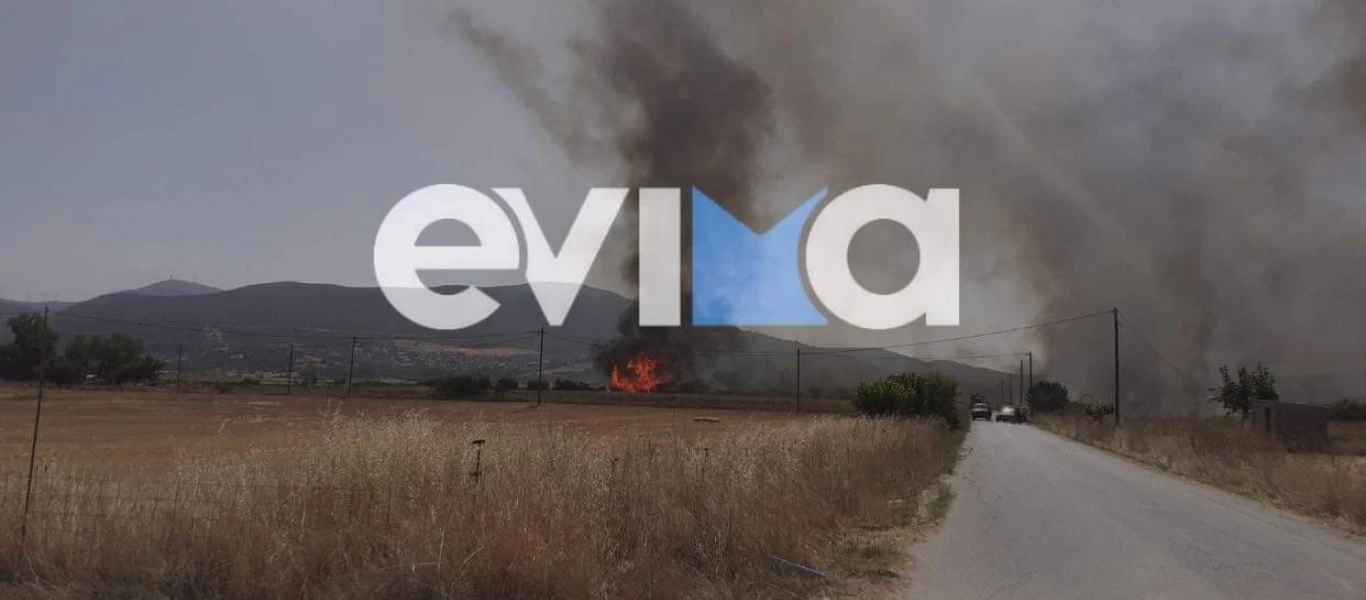 Μεγάλη φωτιά σε εξέλιξη και στην Εύβοια - Εκκενώνονται οικισμοί και κατασκηνώσεις (upd-βίντεο)